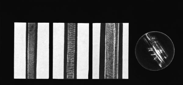 Иллюстрация к книге — Век криминалистики [i_052.jpg]