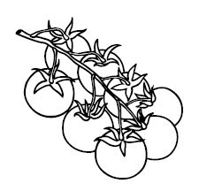 Иллюстрация к книге — Что и когда есть. Как найти золотую середину между голодом и перееданием [i_004.jpg]