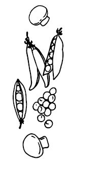 Иллюстрация к книге — Что и когда есть. Как найти золотую середину между голодом и перееданием [i_008.jpg]