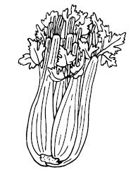 Иллюстрация к книге — Что и когда есть. Как найти золотую середину между голодом и перееданием [i_030.jpg]