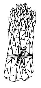 Иллюстрация к книге — Что и когда есть. Как найти золотую середину между голодом и перееданием [i_032.jpg]