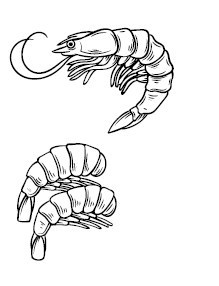 Иллюстрация к книге — Что и когда есть. Как найти золотую середину между голодом и перееданием [i_033.jpg]