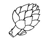 Иллюстрация к книге — Что и когда есть. Как найти золотую середину между голодом и перееданием [i_038.jpg]