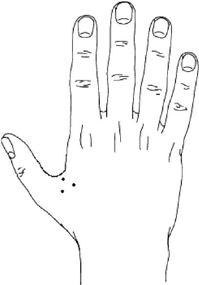 Иллюстрация к книге — Крутые бренды должны быть горячими. Свежее руководство по продвижению на рынке [i_029.jpg]