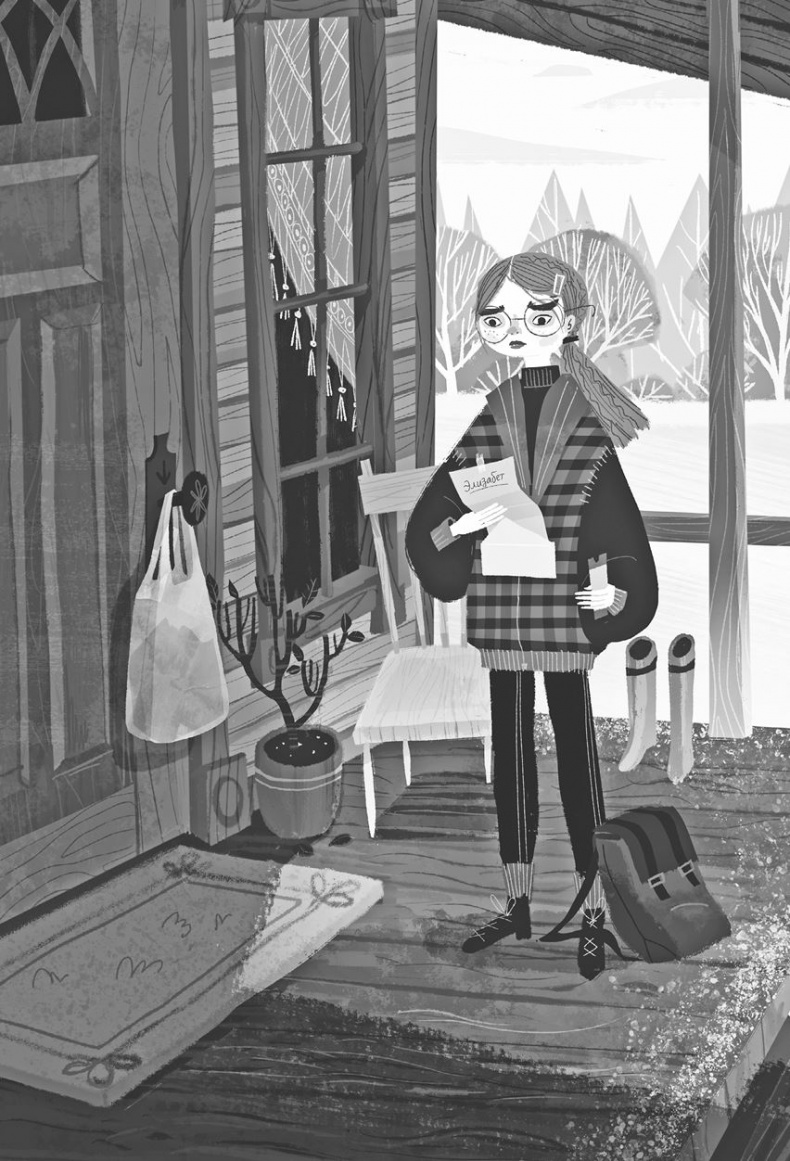 Иллюстрация к книге — Тайна отеля «Зимний дом» [i_002.jpg]