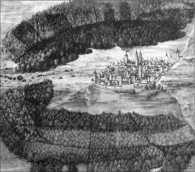 Иллюстрация к книге — Праведный палач [i_006.jpg]