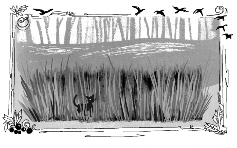 Иллюстрация к книге — Пенелопа и огненное чудо [i_003.jpg]