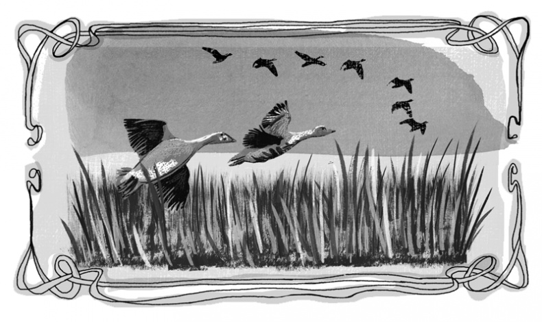 Иллюстрация к книге — Пенелопа и огненное чудо [i_011.jpg]