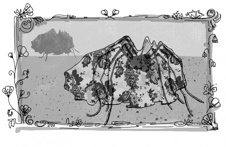 Иллюстрация к книге — Пенелопа и огненное чудо [i_020.jpg]