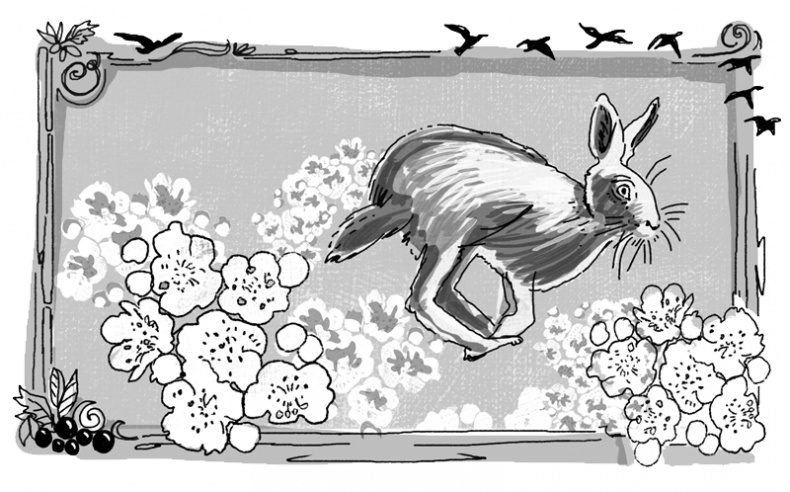 Иллюстрация к книге — Пенелопа и огненное чудо [i_021.jpg]