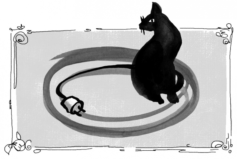 Иллюстрация к книге — Пенелопа и огненное чудо [i_037.jpg]