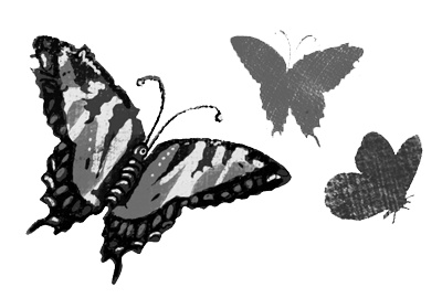 Иллюстрация к книге — Пенелопа и огненное чудо [i_043.jpg]