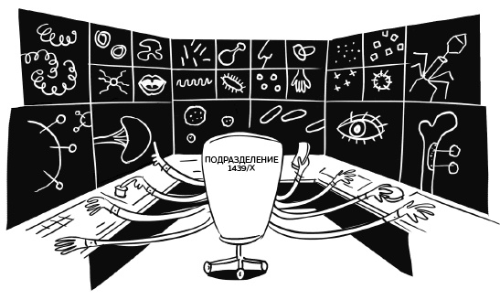 Иллюстрация к книге — Иммунитет. Как у тебя дела? [i_004.jpg]