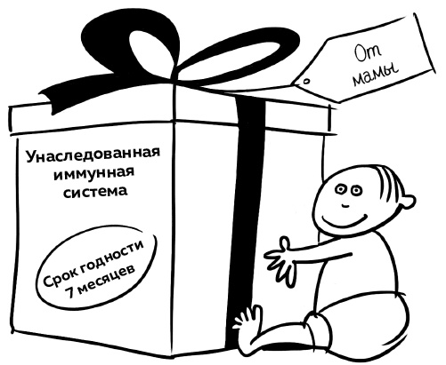 Иллюстрация к книге — Иммунитет. Как у тебя дела? [i_007.jpg]