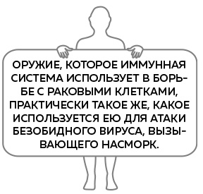 Иллюстрация к книге — Иммунитет. Как у тебя дела? [i_023.jpg]