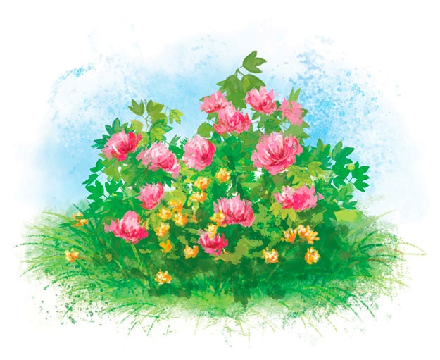 Иллюстрация к книге — Чудесный камень Маюрми [i_009.jpg]