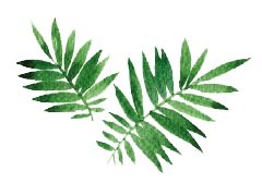 Иллюстрация к книге — Деревня Драконов [i_024.jpg]