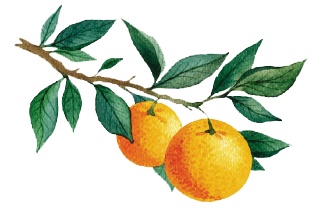 Иллюстрация к книге — Деревня Драконов [i_028.jpg]