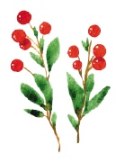 Иллюстрация к книге — Деревня Драконов [i_035.jpg]