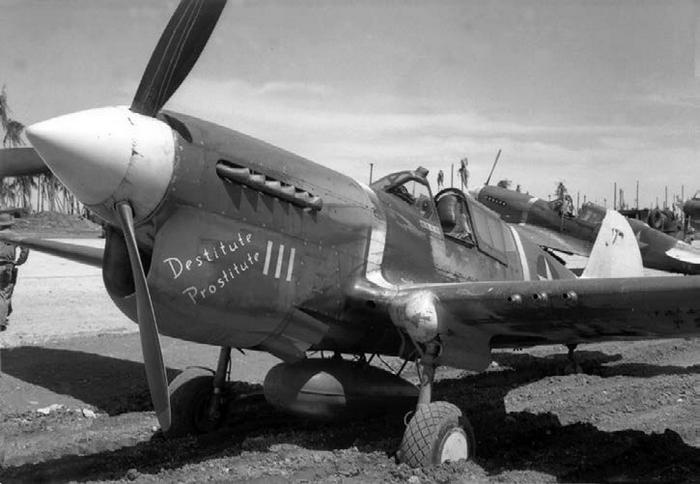 Иллюстрация к книге — Истребитель-«молния» P-38 «Лайтнинг» [i_010.jpg]