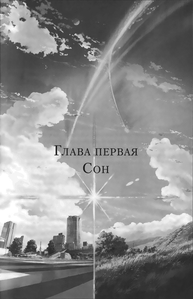 Иллюстрация к книге — Твоё имя. [i_001.jpg]