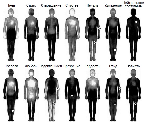 Иллюстрация к книге — Мозг: прошлое и будущее [i_009.jpg]