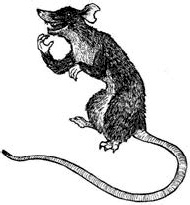 Иллюстрация к книге — Книга как лекарство для детей [_15.jpg]