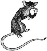 Иллюстрация к книге — Книга как лекарство для детей [_5.jpg]