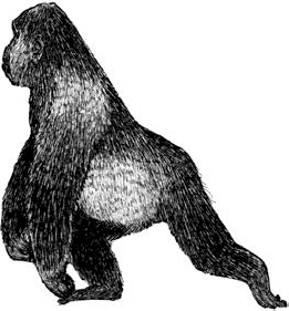 Иллюстрация к книге — Книга как лекарство для детей [_9.jpg]