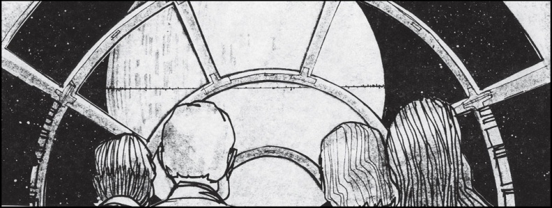 Иллюстрация к книге — Звёздные Войны. Новая надежда. Принцесса, негодяй и мальчик с фермы [image25.jpg]