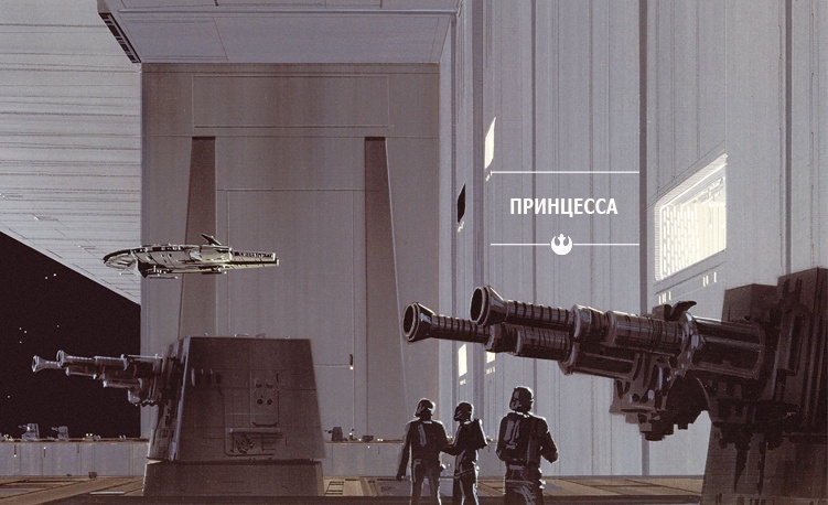 Иллюстрация к книге — Звёздные Войны. Новая надежда. Принцесса, негодяй и мальчик с фермы [princessa.jpg]