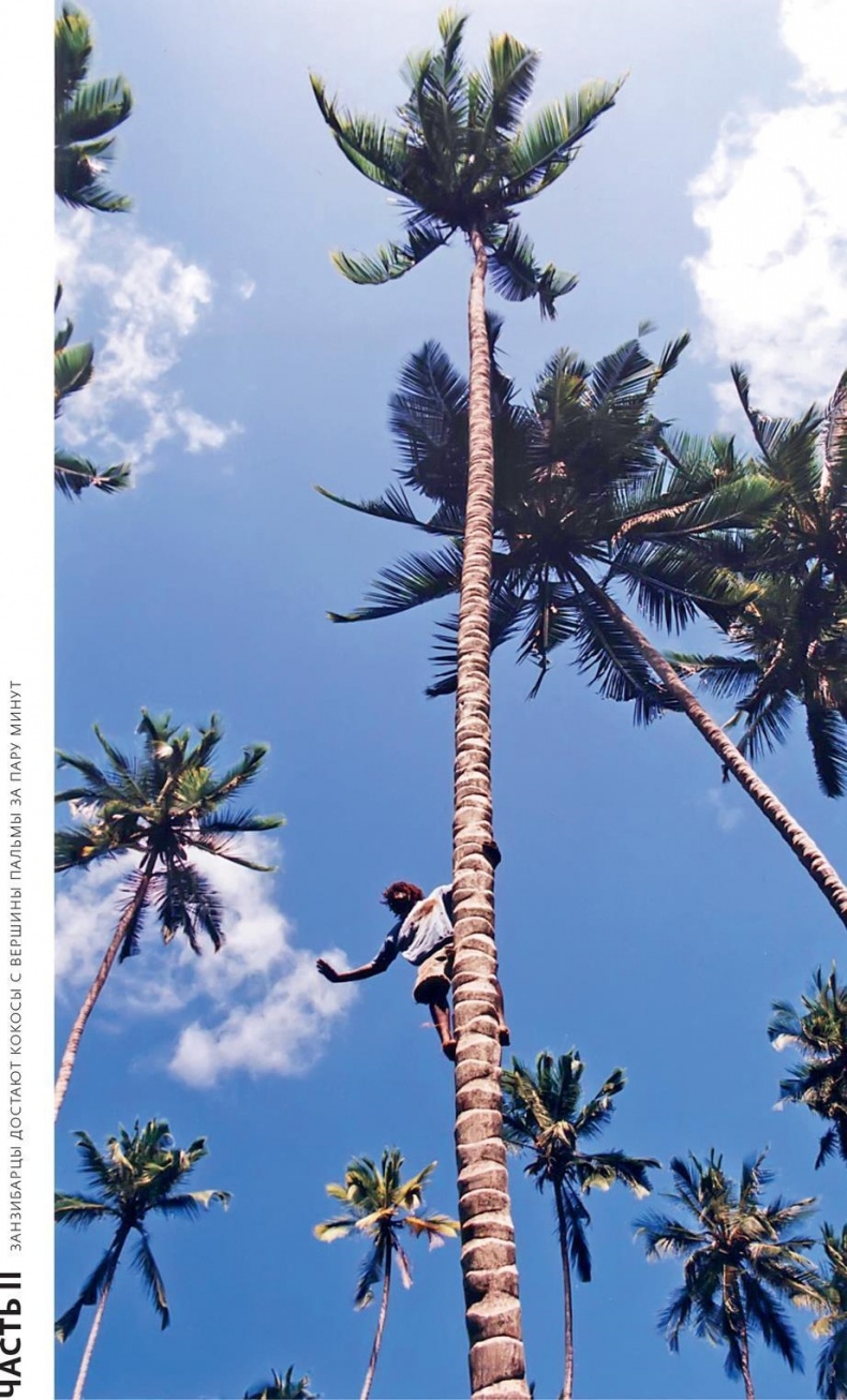 Иллюстрация к книге — Снег на экваторе [i_012.jpg]