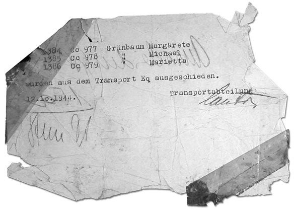 Иллюстрация к книге — Где-то в мире есть солнце. Свидетельство о Холокосте [i_007.jpg]