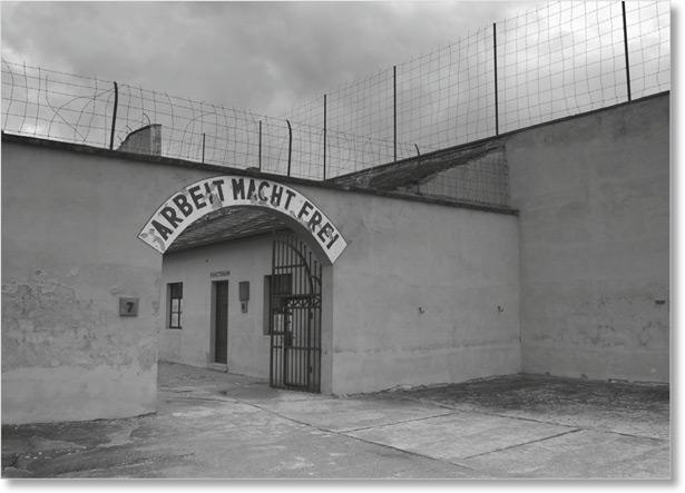 Иллюстрация к книге — Где-то в мире есть солнце. Свидетельство о Холокосте [i_031.jpg]