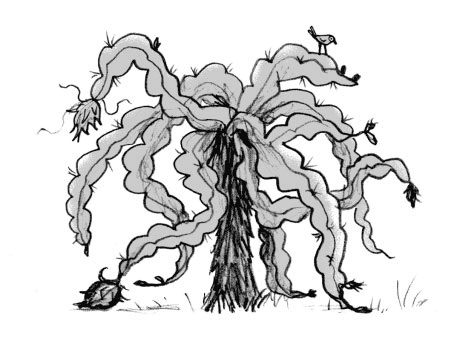 Иллюстрация к книге — Мальчик, который воспитывал драконов [i_002.jpg]