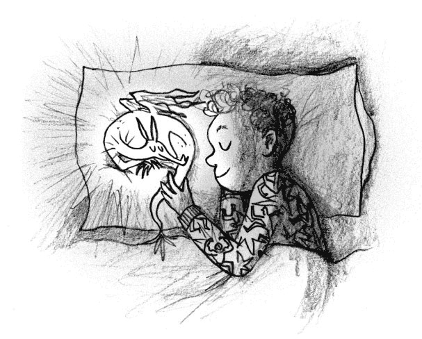 Иллюстрация к книге — Мальчик, который воспитывал драконов [i_005.jpg]