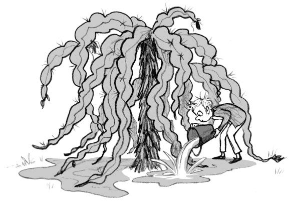 Иллюстрация к книге — Мальчик, который воспитывал драконов [i_023.jpg]