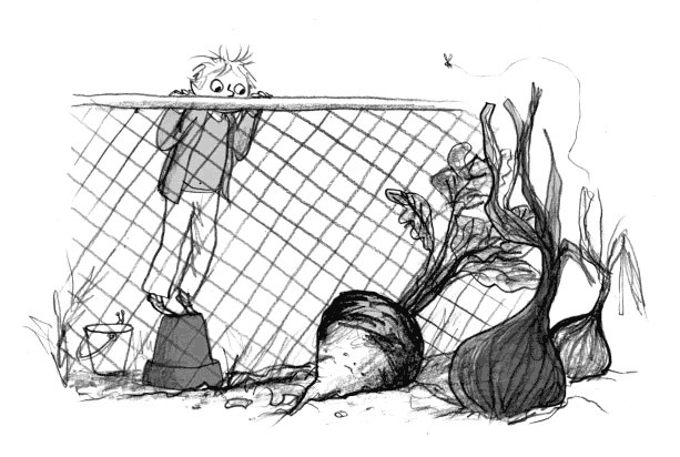 Иллюстрация к книге — Мальчик, который воспитывал драконов [i_026.jpg]