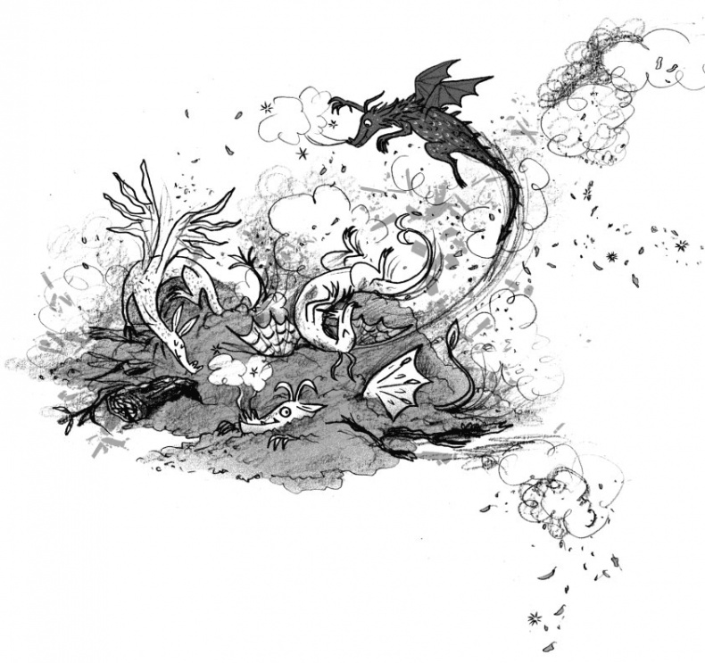 Иллюстрация к книге — Мальчик, который воспитывал драконов [i_029.jpg]