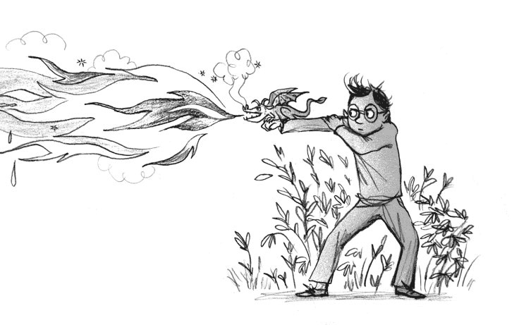 Иллюстрация к книге — Мальчик, который воспитывал драконов [i_032.jpg]