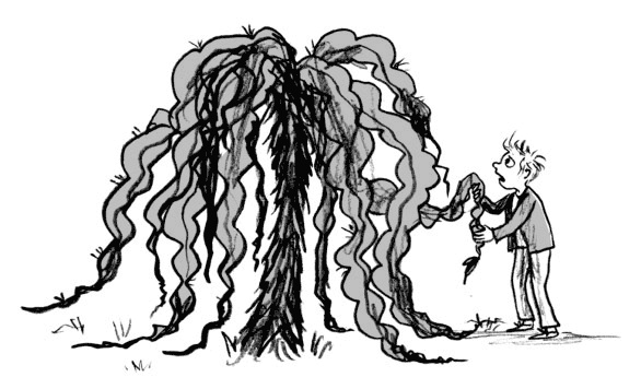 Иллюстрация к книге — Мальчик, который воспитывал драконов [i_042.jpg]