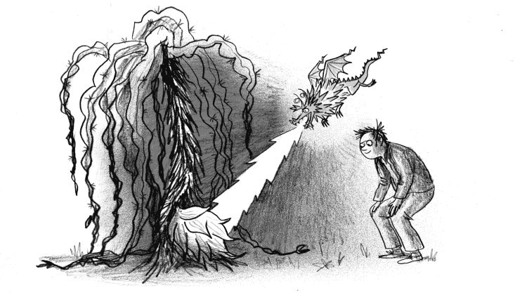 Иллюстрация к книге — Мальчик, который воспитывал драконов [i_055.jpg]