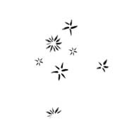 Иллюстрация к книге — Мальчик, который выращивал драконов [i_027.jpg]