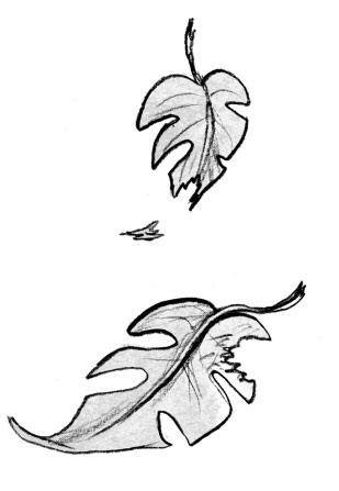 Иллюстрация к книге — Мальчик, который выращивал драконов [i_037.jpg]