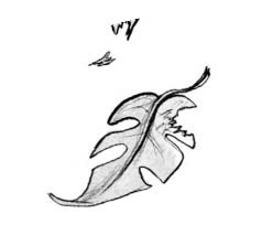 Иллюстрация к книге — Мальчик, который выращивал драконов [i_047.jpg]