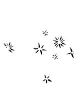 Иллюстрация к книге — Мальчик, который выращивал драконов [i_058.jpg]