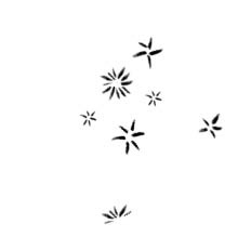 Иллюстрация к книге — Мальчик, который выращивал драконов [i_059.jpg]