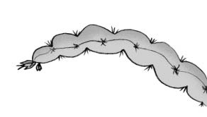 Иллюстрация к книге — Мальчик, который выращивал драконов [i_091.jpg]