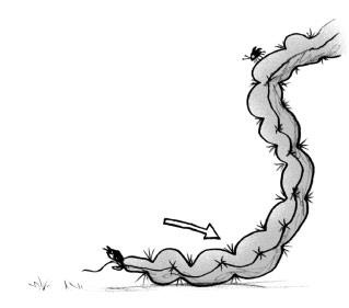 Иллюстрация к книге — Мальчик, который выращивал драконов [i_108.jpg]