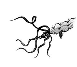 Иллюстрация к книге — Мальчик, который выращивал драконов [i_110.jpg]